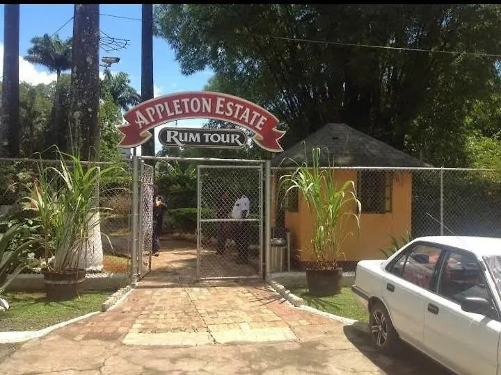 Griffiths Guest House White Hill Jamaika