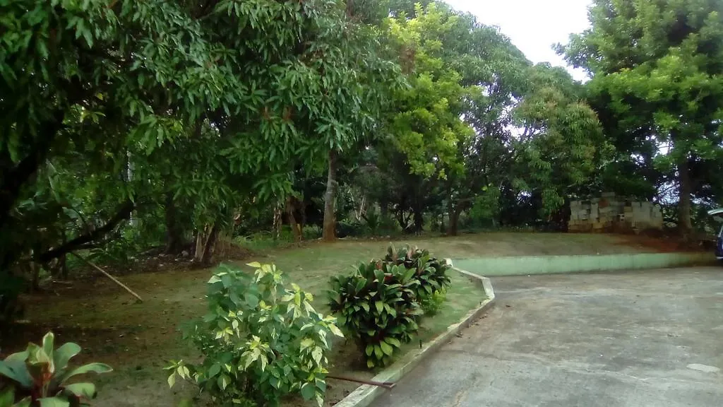 Griffiths Guest House White Hill